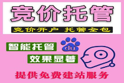 百度竞价广告运营实战：创意与执行的完美结合